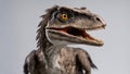 _The Velociraptor was an amazing creature that lived in the wizarding world, when the world was full