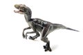 Velociraptor, on white background Royalty Free Stock Photo