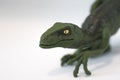 Velociraptor on white background ready to attack Royalty Free Stock Photo