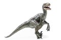 Velociraptor, on white background Royalty Free Stock Photo