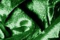 Velor green fabric Velvet pattern carved from under an uncircumcised pile of heaps Velvet Burntout Devore this type It`s just a