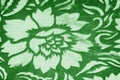 Velor green fabric Velvet pattern carved from under an uncircumcised pile of heaps Velvet Burntout Devore this type It`s just a