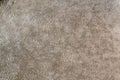 Velour texture fabric background Royalty Free Stock Photo