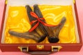 Velvet antler in luxury gift box. cartilaginous antler in a precalcified growth stage of deer, covered in a hairy, velvet-like