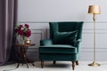 A velvet armchair that adds elegance to a vintage living room in rich jewel tones