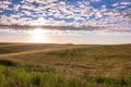 Velvet fields of ripe barley or rye in evening sunlight. Typical summertime landscape in Ukraine. Concept theme: Food security.