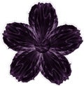 Velvet violet colored diamond effect flower graphic design