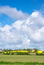 Ven island in southern Sweden with field of rapeseeds