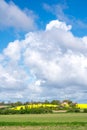 Ven island in southern Sweden with field of rapeseeds