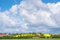 Ven island in southern Sweden with field of rapeseeds