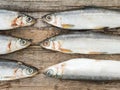 Vendace fishes on the gray wooden board