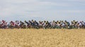 The Peloton - Tour de France 2017 Royalty Free Stock Photo