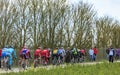 The Peloton on a Dirty Road - Paris-Nice 2016 Royalty Free Stock Photo