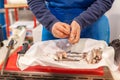 Vendor cutting fish. A typical scene at the traditional fish market