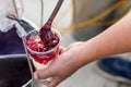 A vendor prepares strawberry taho, a popular delicacy in Baguio. Strawberry Taho, a popular delicacy in Baguio. A soybean curd Royalty Free Stock Photo