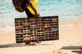 Vendor walking on the beach and selling sunglasses at the Porto da Barra beach in Salvador, Brazil