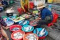 The vendors sell and prepare the fish and the chicken for their customers at the street wet market in Hoi An. Royalty Free Stock Photo
