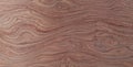 VENEER burls wood Pattern brown wooden material finish surface furniture burr texture wall background