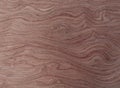 VENEER burls wood Pattern brown wooden material finish surface furniture burr texture wall background