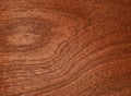 Veneer natural mahogany makore. Material for interior and furniture