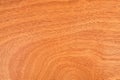 Veneer wood panel texture, brown plywood wooden formica board