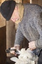 Venerable sheep shearer using hand tools in a Connecticut barn