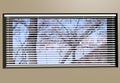 Venetian Blinds 3d max