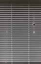 Venetian blinds