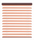 Venetian blinds vector Royalty Free Stock Photo