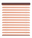 Venetian blinds vector