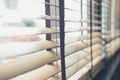 Venetian blinds by the window Royalty Free Stock Photo