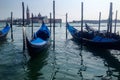 Venetian boats gondolas in harbor in Venice, Italy