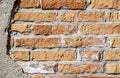 Venetian building weathered wall surface brick wall detail.