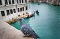 Venetian Canal Royalty Free Stock Photo