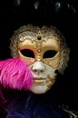 Venetian carnival mask Royalty Free Stock Photo