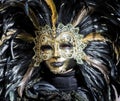 Venetian Carnival Mask