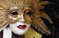 Venetian Carnival Mask Royalty Free Stock Photo