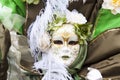 Venetian carnival mask - Lady Nature Royalty Free Stock Photo