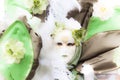 Venetian carnival mask - Lady Nature Royalty Free Stock Photo