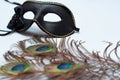 Venetian carnival mask and peacock feathers Royalty Free Stock Photo