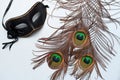 Venetian carnival mask and peacock feathers Royalty Free Stock Photo