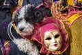 Venetian carnival mask Royalty Free Stock Photo