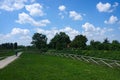 A Venetian countryside scene in spring