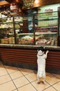 Venetian Deli Dog