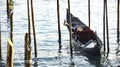 Venetian gondolla anchored is waiting for its passengers Royalty Free Stock Photo