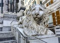 Venetian lion statue beside the Cathedral San Lorenzo in Genoa Royalty Free Stock Photo