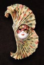 The Venetian mask 1 Royalty Free Stock Photo
