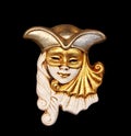 The Venetian mask Royalty Free Stock Photo