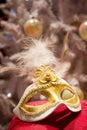 Venetian mask Royalty Free Stock Photo