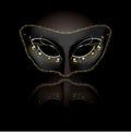 Venetian mask with black background